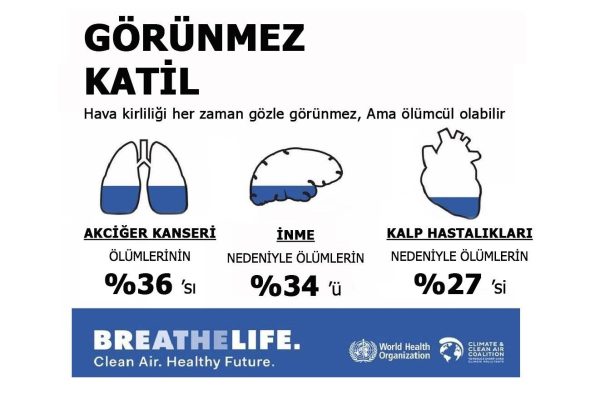 Hava kalitesi ve hava kirliliğinin insan sağlığı üzerine etkileri