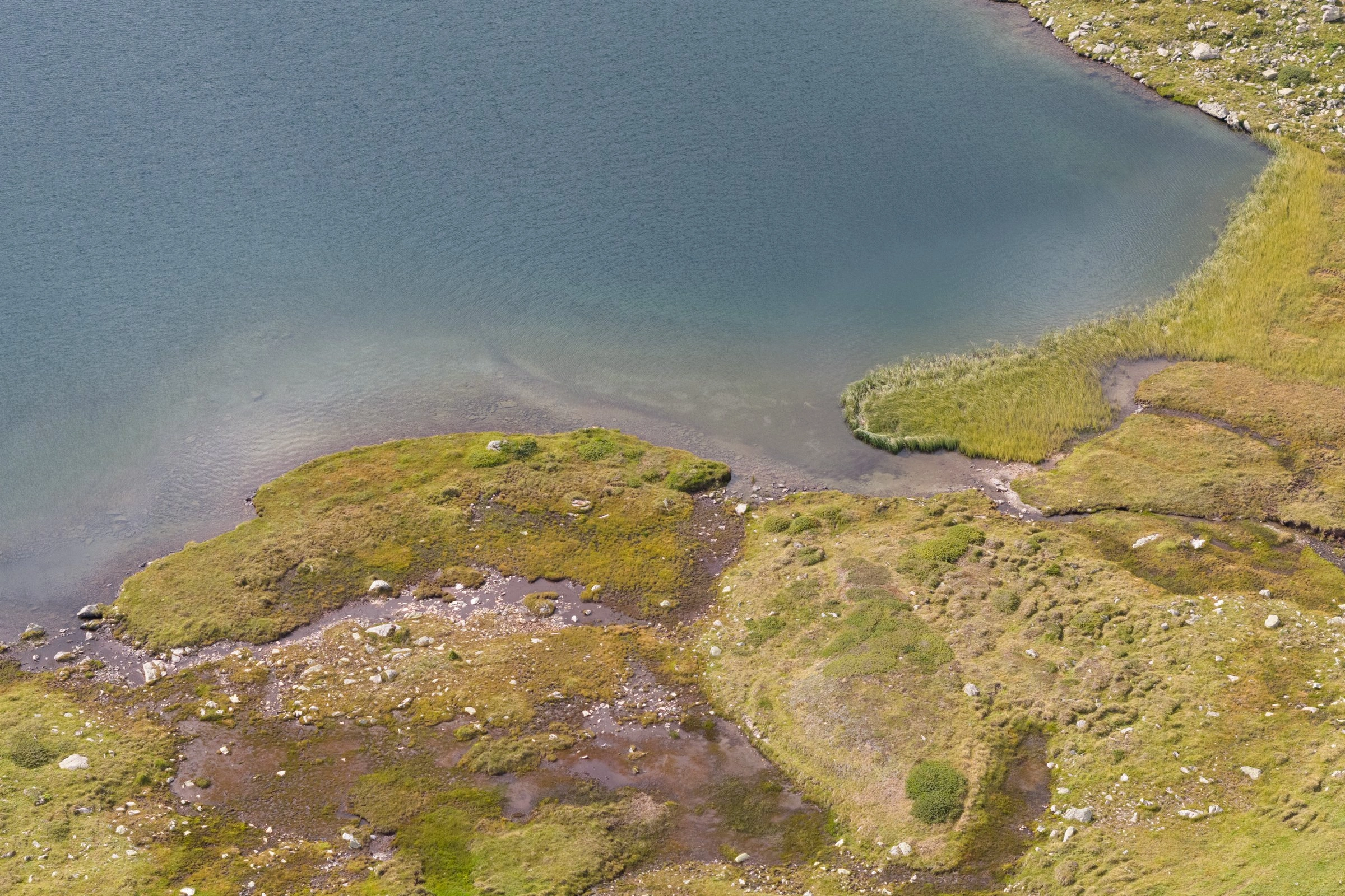 Aromastick Bulantı Önleyici Burun Çubuğu - Görsel 6